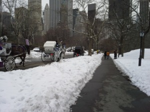 Central park. Several carriages and a lot of snow 